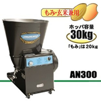AN300