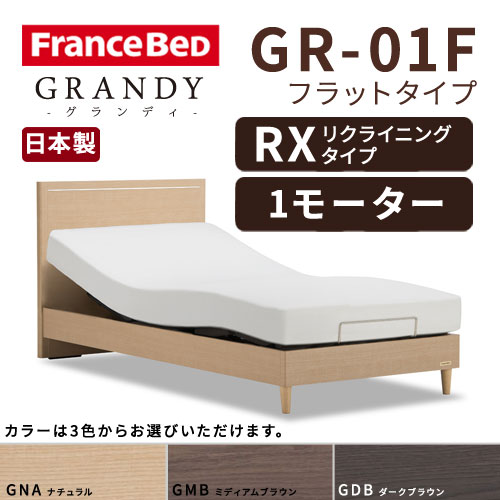 【フレームのみ】【開梱設置無料】フランスベッド グランディ GR-01F RX(リクライニングタイプ) 1モーター シングルサイズ(S)【代引き不可】