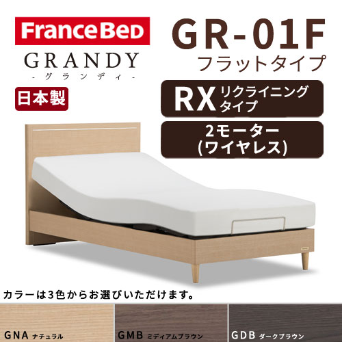 【フレームのみ】【開梱設置無料】フランスベッド グランディ GR-01F RX(リクライニングタイプ) 2モーター ワイヤレス シングルサイズ(S)【代引き不可】