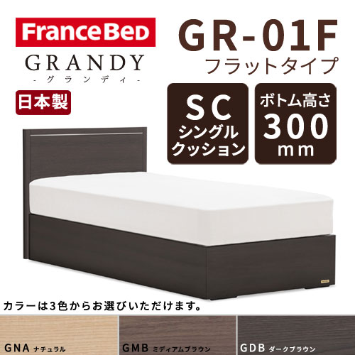 【フレームのみ】フランスベッド グランディ GR-01F SCタイプ ボトム高さ30.0cm シングルサイズ(S)【都内・隣接県は開梱設置無料(日曜・祝日配送除く)】【代引き不可】