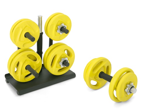★送料無料★ HOME GYM ZIVA ジーヴァ スピンロック スタジオディスクダンベルセット 35kg スタンド付 ZES-SLSD-2226<br>ジョンソン ホライゾンフィットネス 【代引き不可】 HORIZON FITNESS