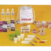 防災対策用品 NEW避難食品セット 約6食分 8815